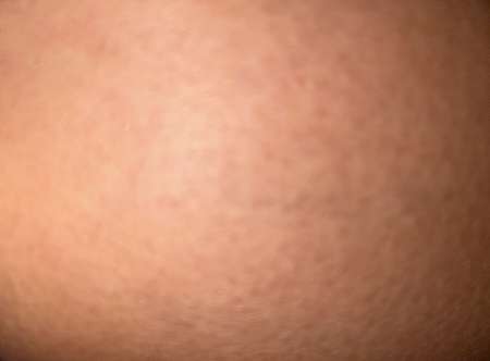 Culott porte