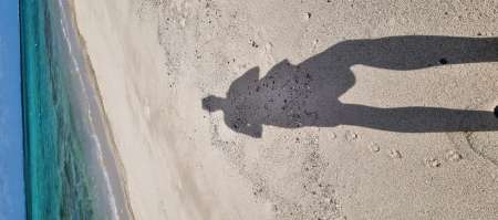 Recherche massage nu integral