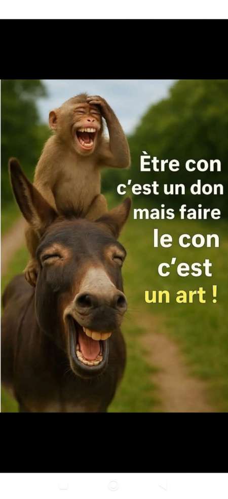 Rencontre femme mre