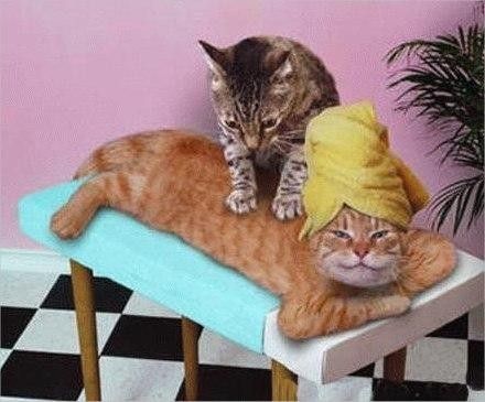 Recherche massages