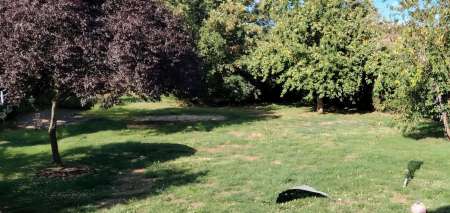 Recherche travaux de jardinage contre sexe
