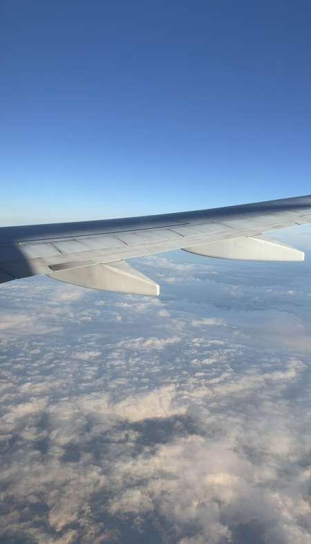 De la compagnie et du plaisir