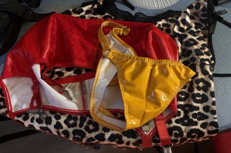 homme chercher cimpagnon