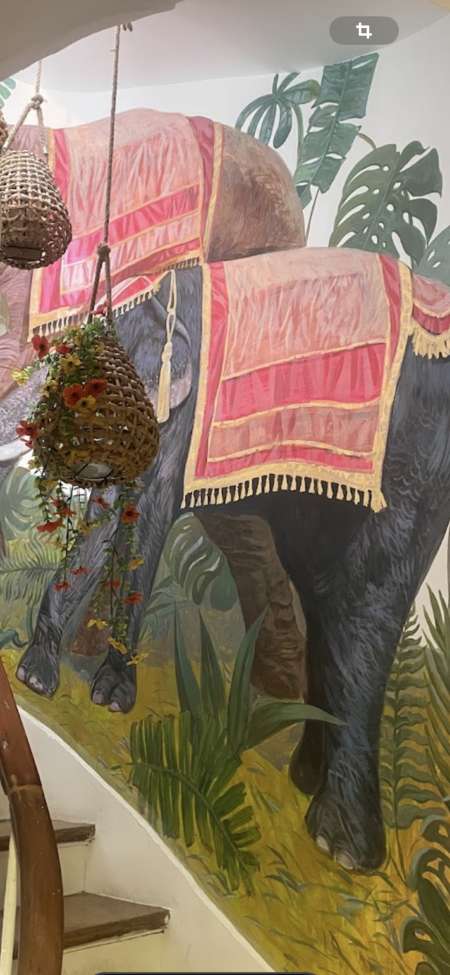 Cherche modle pour massage rmu  