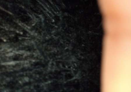 Gentille agrable super