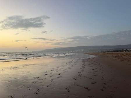 H de couleur bien bti pour satisfaire une femme