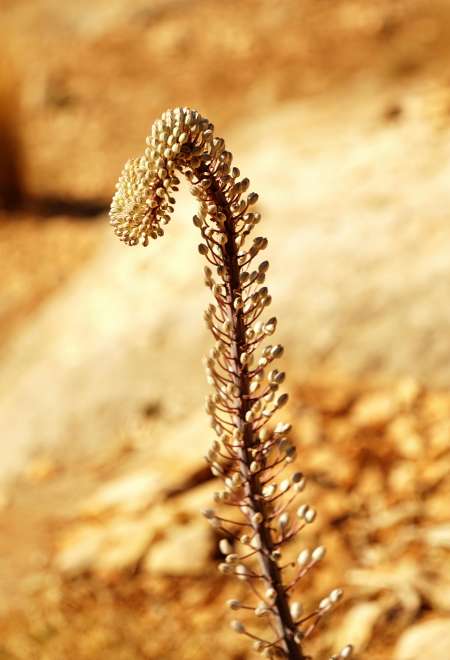 Cherche de l'aide pour mon problme d'rection