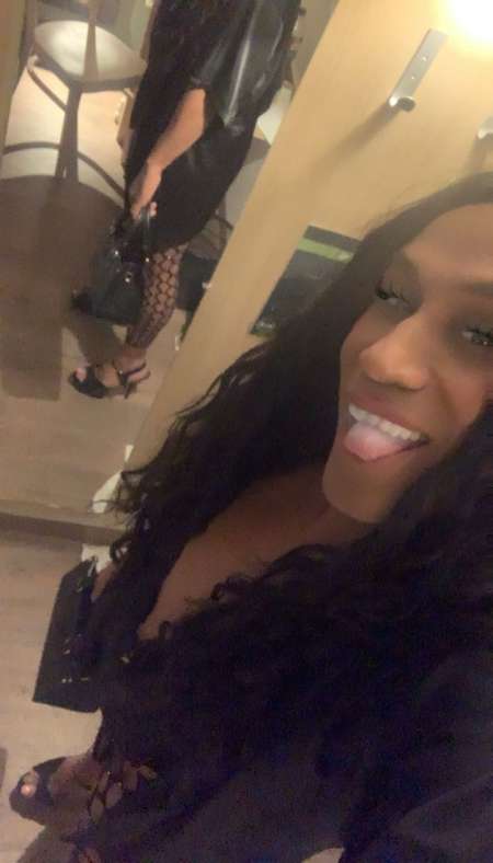 Belle panthre reois ou se dplace