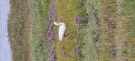 Je cherche une femme uro donneuse