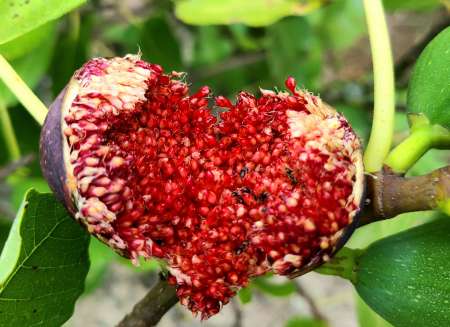 Massages dtente sensuel