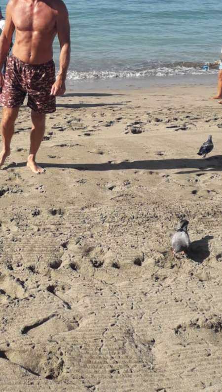 Homme mature et respectueux pour personne fiable