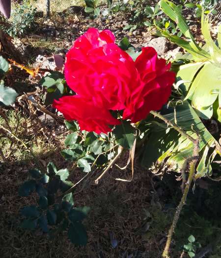 passif discret pour ttbm