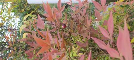 Homme mur 60 �tudie ttes propositions