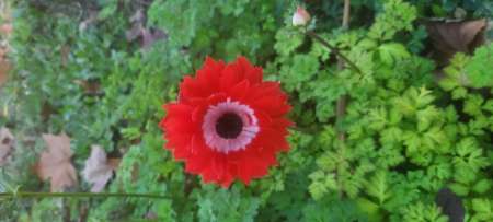 Plaisir intense intimes que pour les femmes