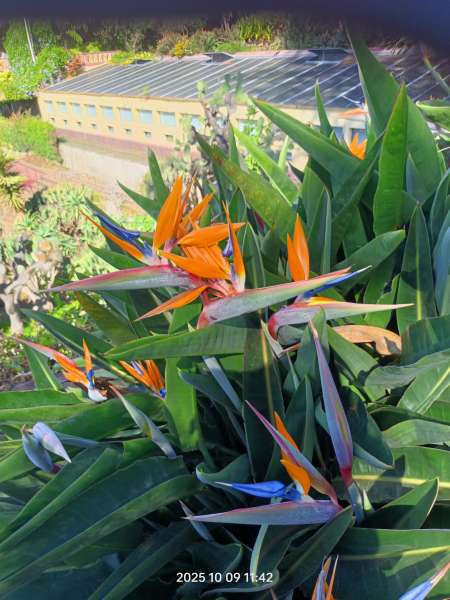 Entre hommes seniors