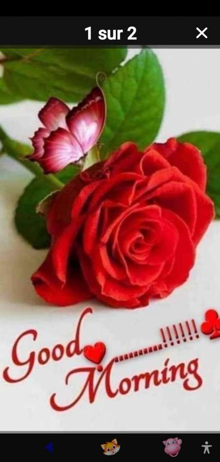 Trans vidange Express paire de couilles pleine