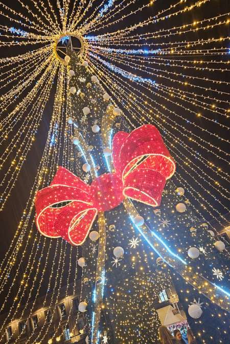 homme rencontre femme a feconder