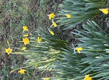 Homme recherche de jolis pieds feminins