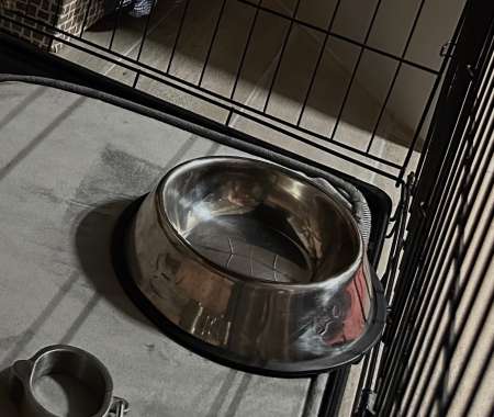 H chch long terme (fell en FreeUse, odeurs fortes)