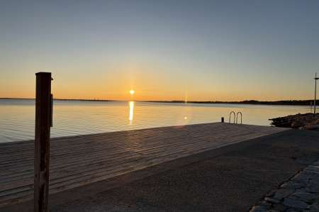 Recherche femme noire