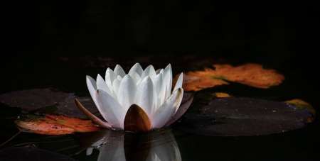 Massage naturiste et tantrique