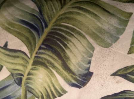 femme femme m�re pour hommes �g�es ou handicap