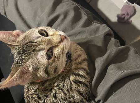 Femme, cherche homme ais� pour rapport