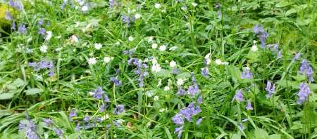 Sexe r�el avec Femme tout �ge