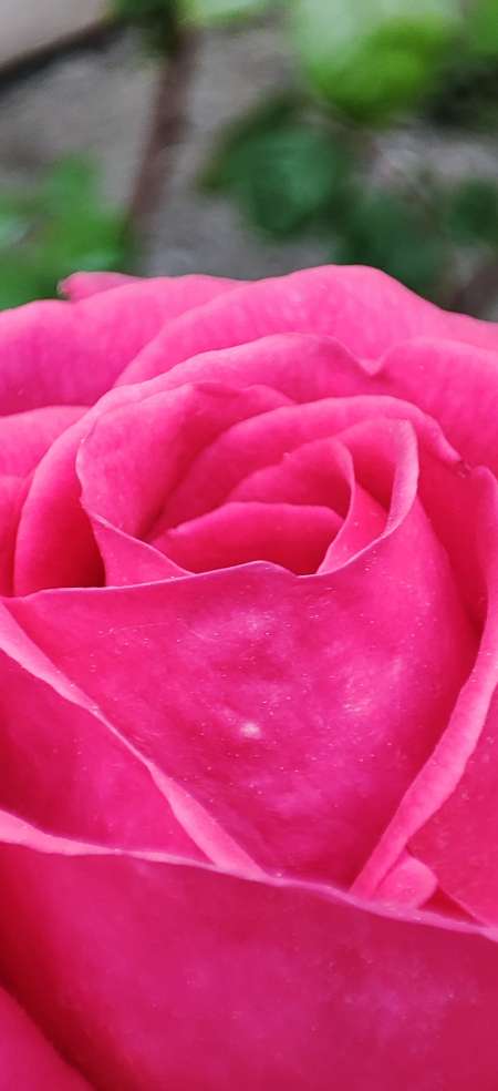 Rencontre une femme s�rieuse