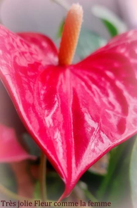 Je recherche masseur