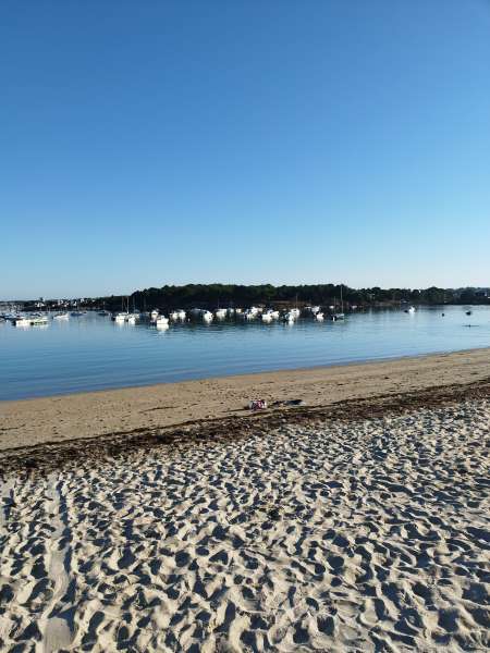 Homme sympathique bi