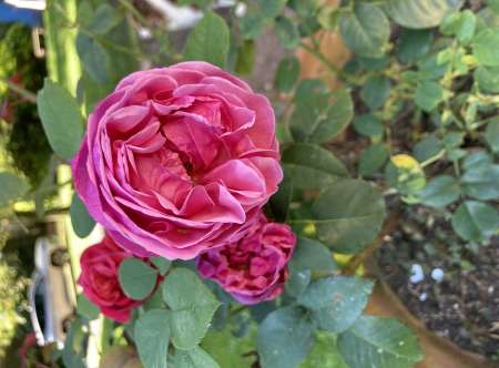 Cherche jeune homme gay