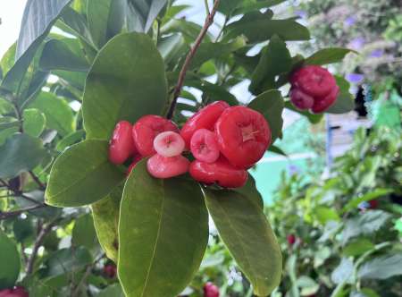 Adore l�cher femme homme