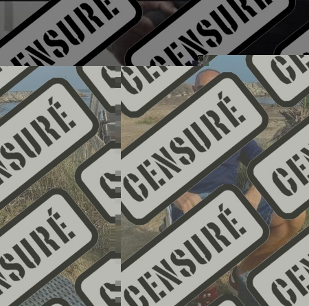 Gros cochon Gruissan