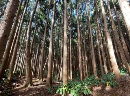 Cherche femme ag�e gourmande