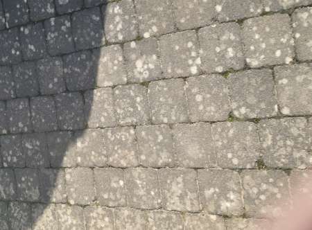 Envie de se divertir