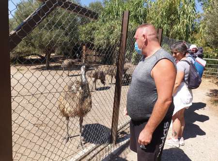 Moment de tendresse complice