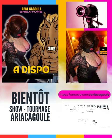 le 20 mars Ariacagoule hotel nimes