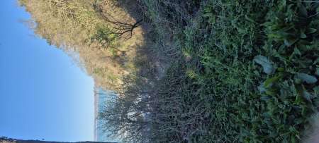 Couple cherche jf pour trio coquin