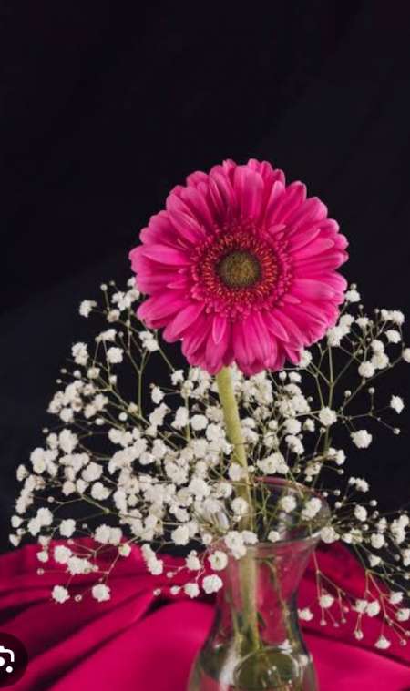 Cidi iliski icin bayan ariyorum