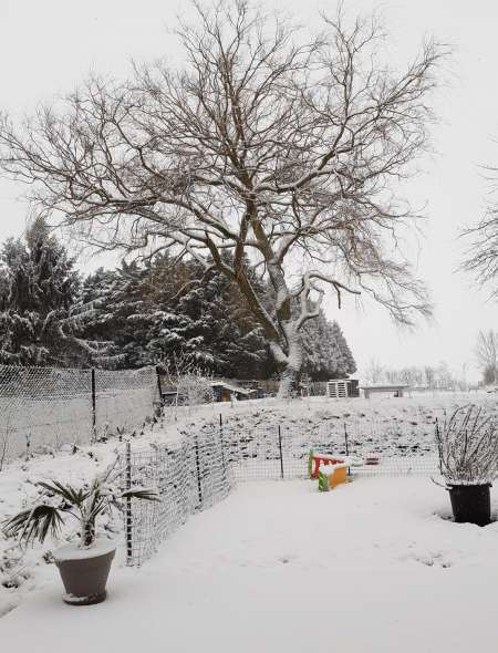 Veuve c�libataire cherche rencontre