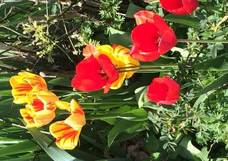 Voyeur discret et silencieux