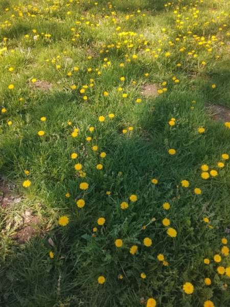 Jolie femme coquine cherche rencontre