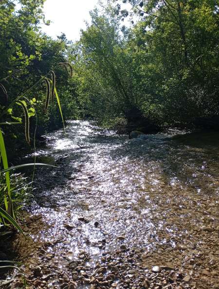 Homme pour femme ma�tresse r�gulier pour plaisir