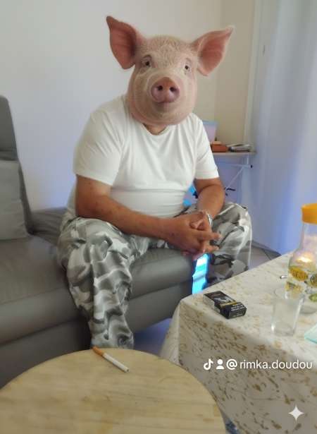 HOMME REBEU CHERCHE FEMME 60ANS A 80ANS