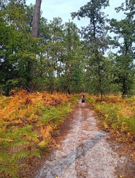 Jolie blonde cherche relation discr�te