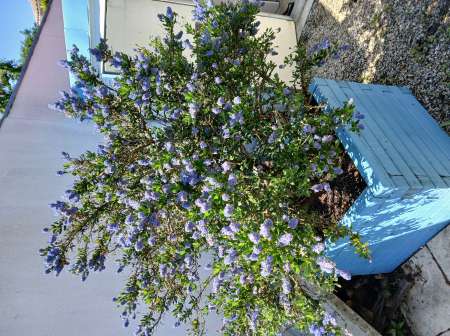 Amiti�s avec femmes plus de 60ans