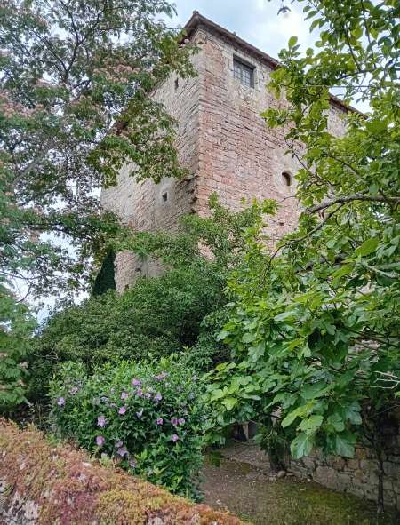 femme coquine recherche rencontre