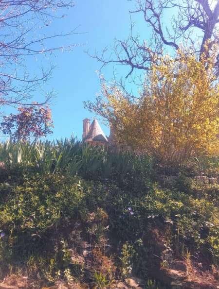 couguar mature cherche discr�tion