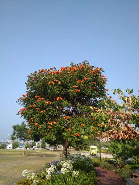 Homme fait don de son sperme a une femme d�sirant